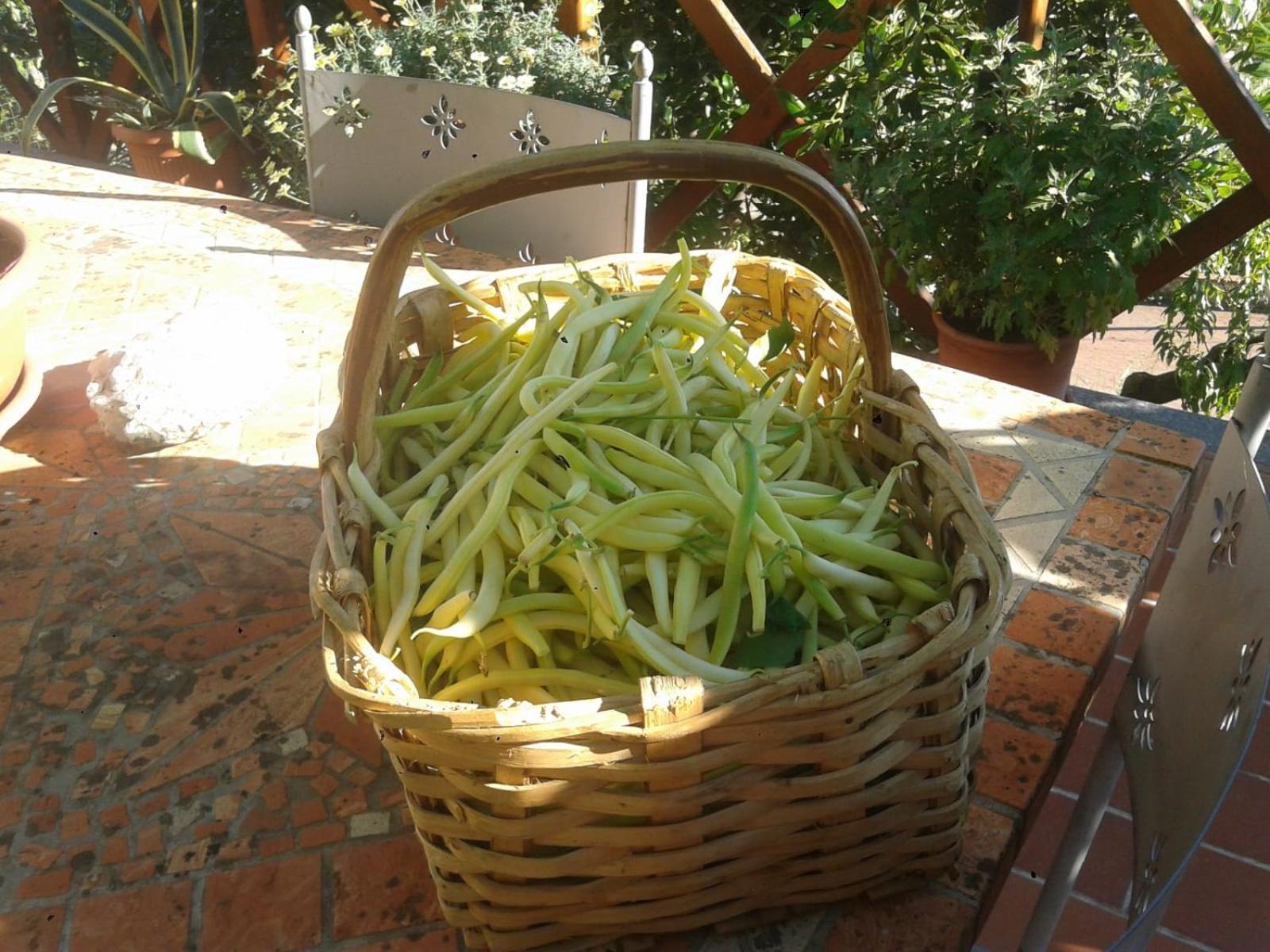Agriturismo Caruggiu Di Via Vecchia Orco Feglino Buitenkant foto