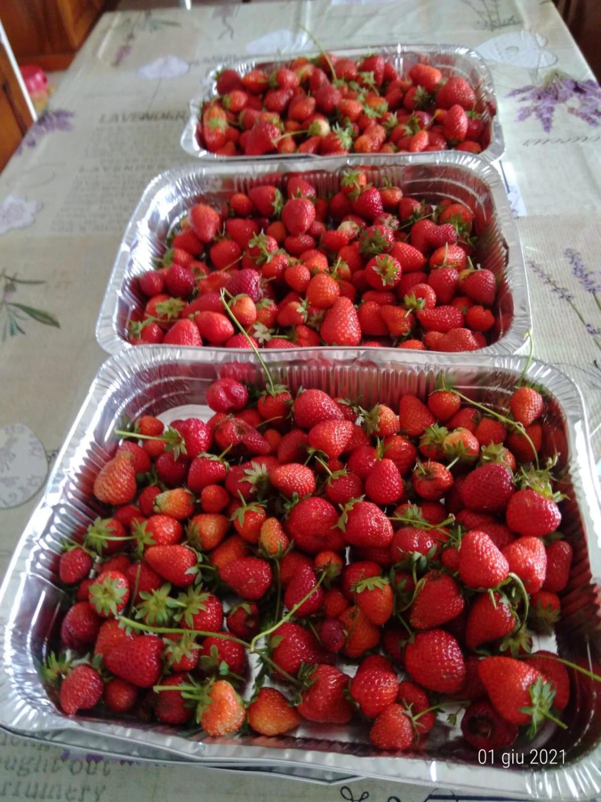 Agriturismo Caruggiu Di Via Vecchia Orco Feglino Buitenkant foto